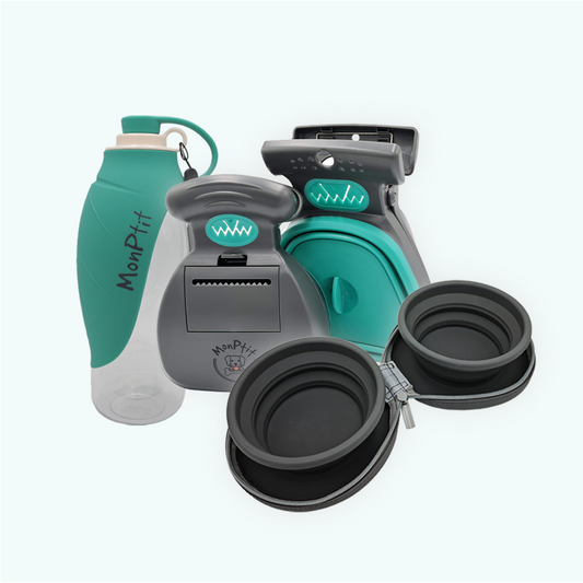 Day Trip essential kit