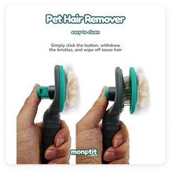 Using the Monptit Pets brush to remove hair from dog’s coat outdoors