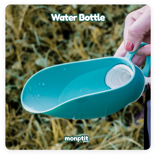 “Monptit Pets Portable Water Bottle for pets – leak-proof design for travel
